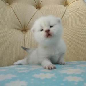 日日夜夜操视频
